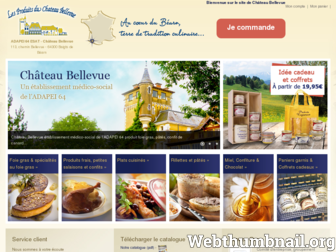 foie-gras-bellevue.com website preview