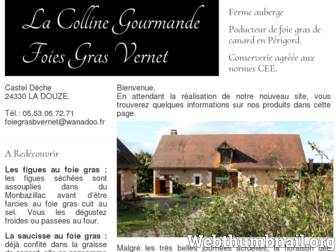 foie-gras-perigord.com website preview