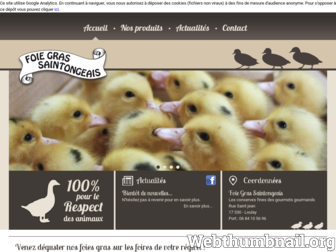 foiegras-saintongeais.com website preview