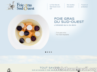foie-gras-du-sud-ouest.fr website preview