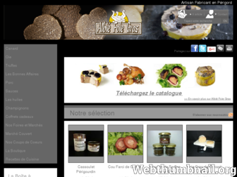 albie-foiegras.fr website preview