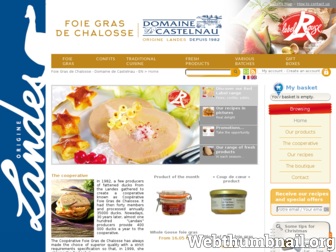 foie-gras-sud-ouest.fr website preview