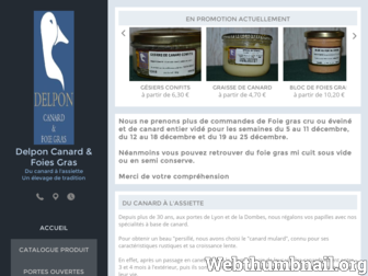 delpon-foies-gras-producteur.fr website preview