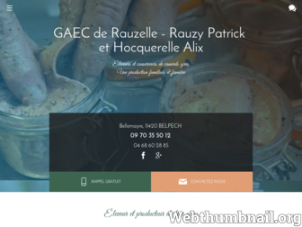 foie-gras-gaecderauzelle.com website preview