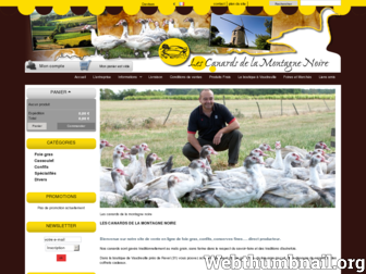 foie-gras-canard.net website preview