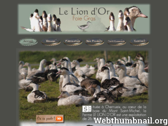 le-lion-dor.fr website preview
