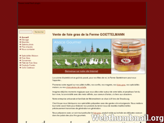 alsace-gourmet.fr website preview