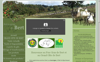 foie-gras-bert.fr website preview