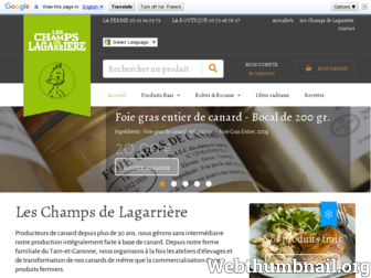 lagarriere.fr website preview