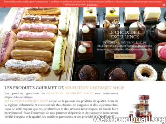 selectiongourmetshop.fr website preview