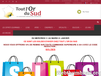 toutlordusud.fr website preview