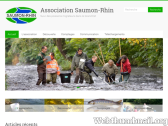 saumon-rhin.com website preview
