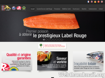 saumonecossais.com website preview