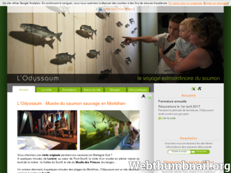 odyssaum.fr website preview