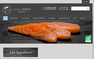 lioneldurot.fr website preview