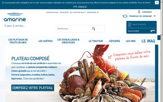 vente.amarine.fr website preview