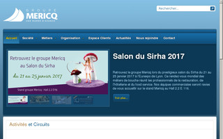 mericq.com website preview