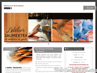 saumextra.fr website preview
