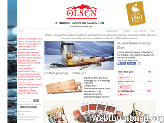 olsen-shopping.com website preview
