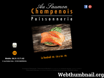 ausaumonchampenois.fr website preview