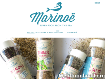 marinoe.fr website preview