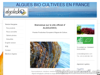 algolesko.com website preview