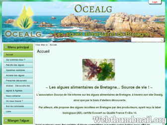 ocealg.com website preview