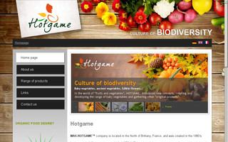 hotgame.fr website preview