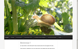 lesescargotsdecyril.fr website preview