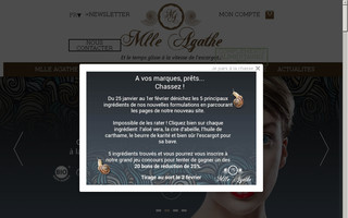 mlle-agathe.fr website preview