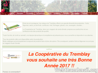 cooptremblay.fr website preview