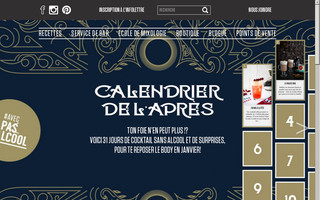 monsieur-cocktail.com website preview