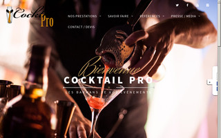 cocktail-pro.com website preview