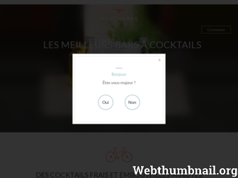 nighthawks.paris website preview