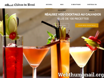 cocktails-calvados.com website preview