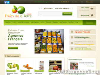 fruitsdelaterre.com website preview