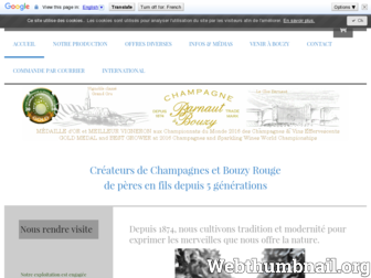 champagne-barnaut-bouzy.com website preview