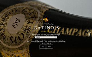 champagnegatinois.com website preview