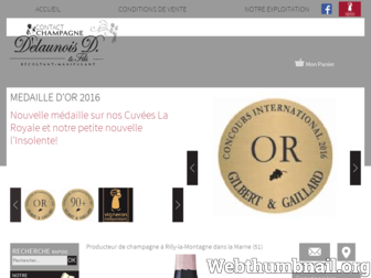 champagne-delaunois.fr website preview