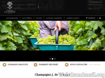 champagne-de-telmont-boutique.com website preview