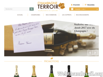 champagne-terroir.fr website preview