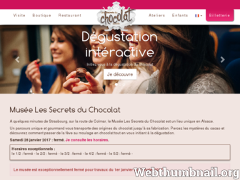 musee-du-chocolat.com website preview