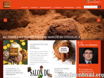 syndicatduchocolat.fr website preview