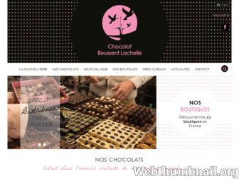 choco-france.com website preview