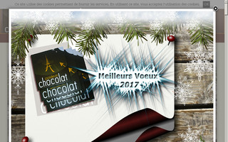 chocolatpoidevin.com website preview