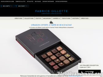 fabrice-gillotte.fr website preview