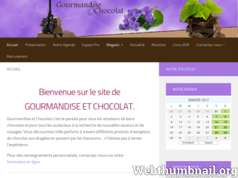 gourmandise-et-chocolat.com website preview