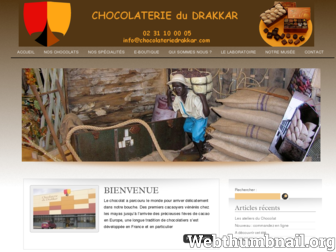 chocolateriedrakkar.com website preview