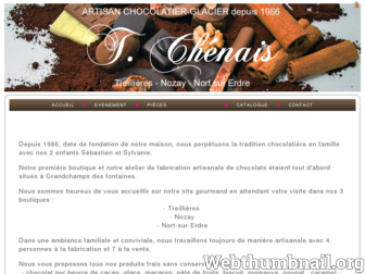 chocolaterietchenais.com website preview