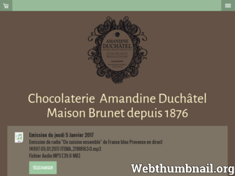 chocolaterie-duchatel.fr website preview